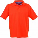 Polo bicolor